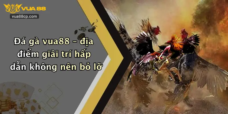 Đá gà vua88 – địa điểm giải trí hấp dẫn không nên bỏ lỡ