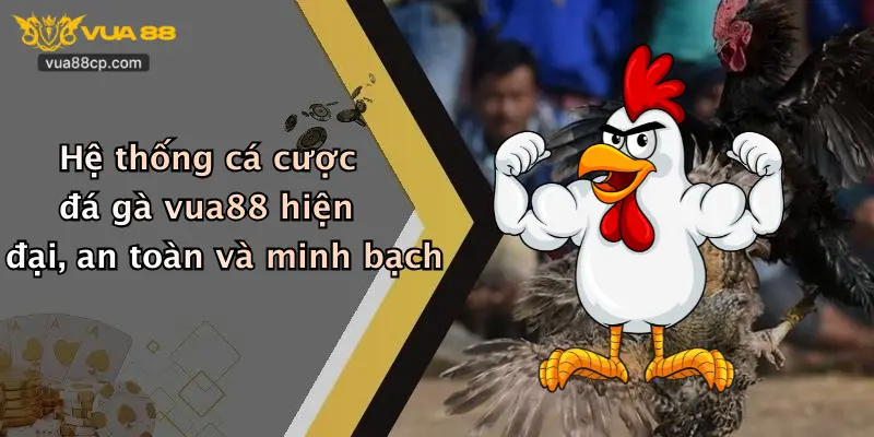 Hệ thống cá cược đá gà vua88 hiện đại, an toàn và minh bạch