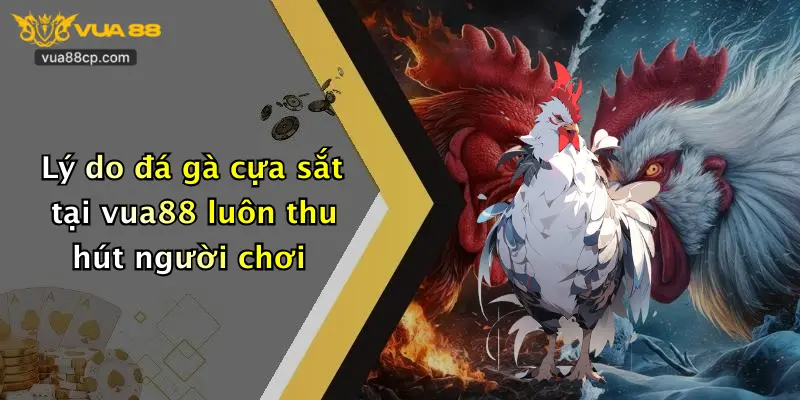Lý do đá gà cựa sắt tại vua88 luôn thu hút người chơi