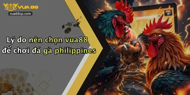 Lý do nên chọn vua88 để chơi đá gà philippines