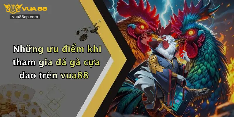 Những ưu điểm khi tham gia đá gà cựa dao trên vua88