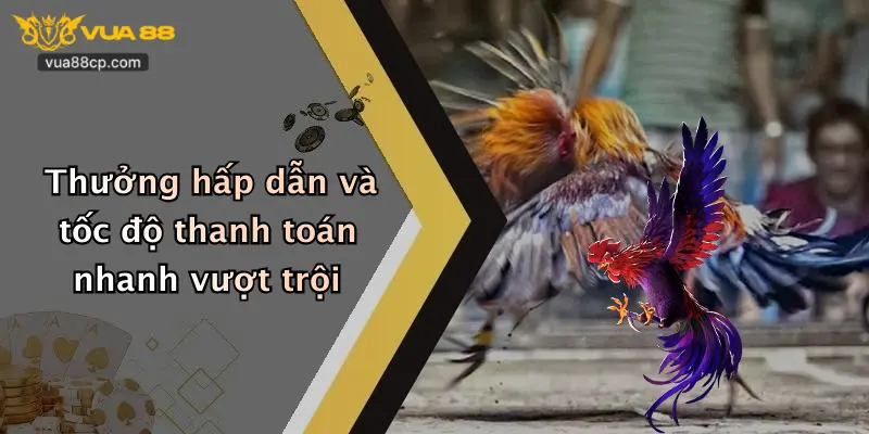 Thưởng hấp dẫn và tốc độ thanh toán nhanh vượt trội
